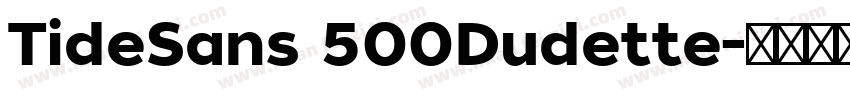 TideSans 500Dudette字体转换